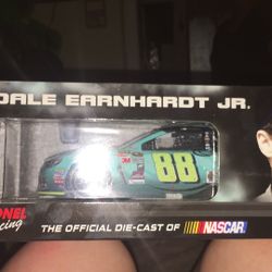 NASCAR Dale Earnhardt Jr  Collectible 