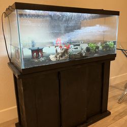 40 Gallon Fish Tank 