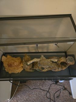 Reptile tank