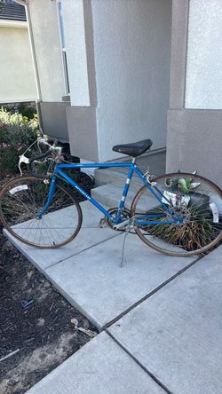 Motorcade Bicycle