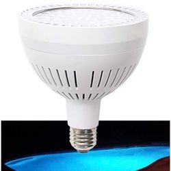 Pool Light Bulb