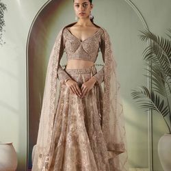 INDIAN WEDDING BRIDAL WEAR - Champagne Gold Designer Lehenga — Like New | Size S