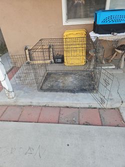 large dog cage