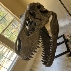 Trex Head.