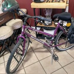 Adult Mountain Bikes