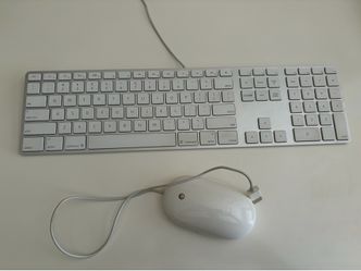 Apple Wired Keyboard + Apple Mighty Mouse
