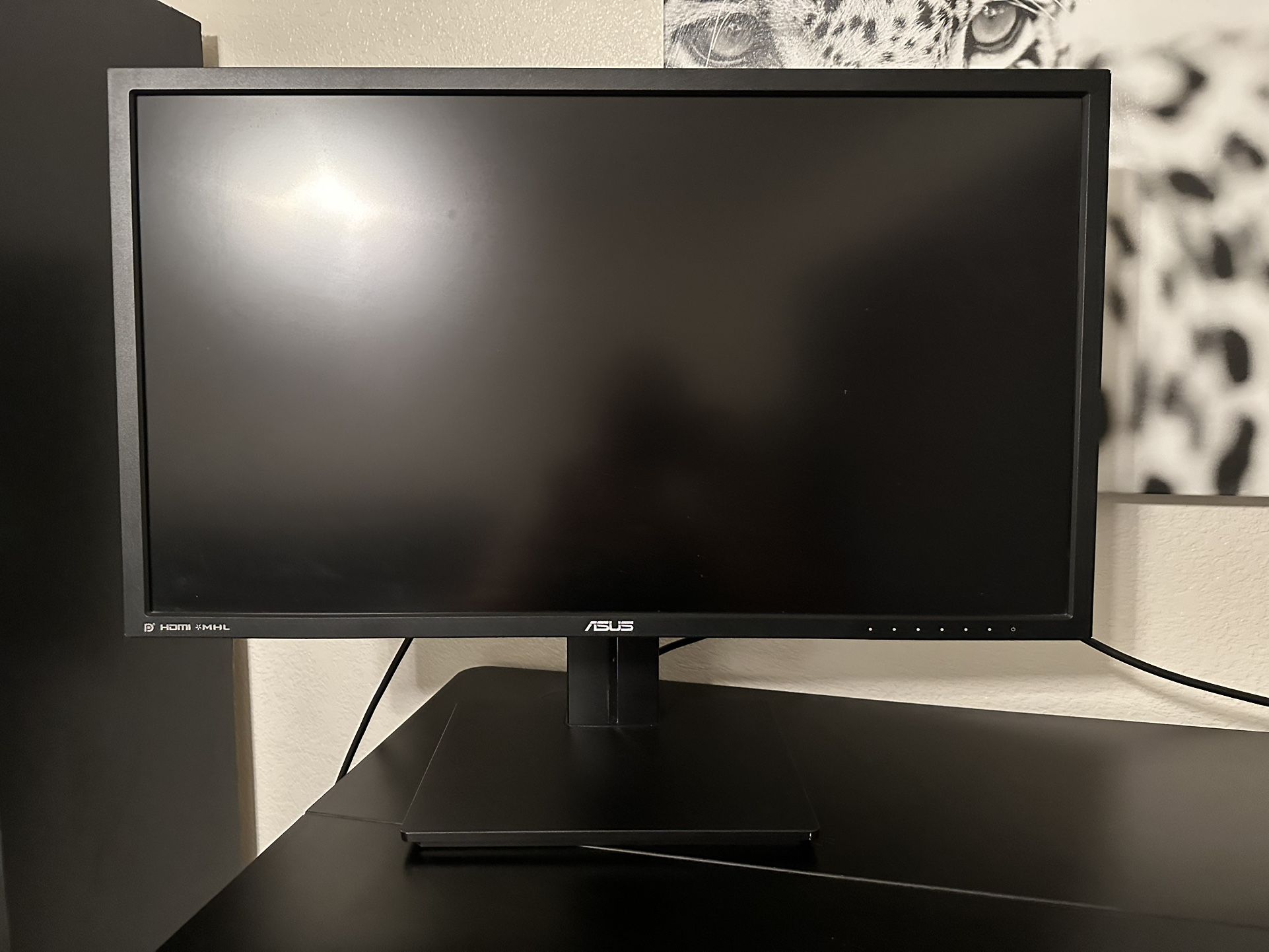 30” ASUS Monitor