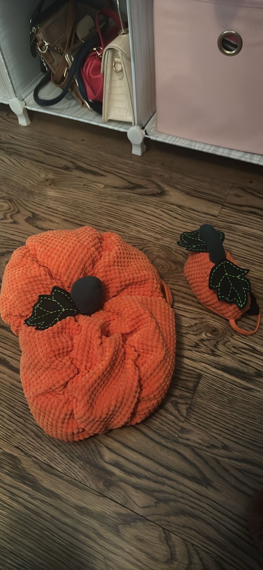 Small Dog pumpkin Costume 