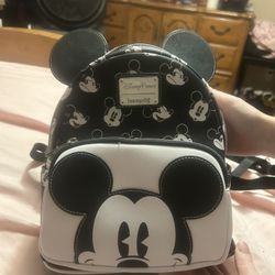Disney Lounge Fly 