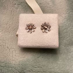 10k Gold Diamond Cute Earrings 