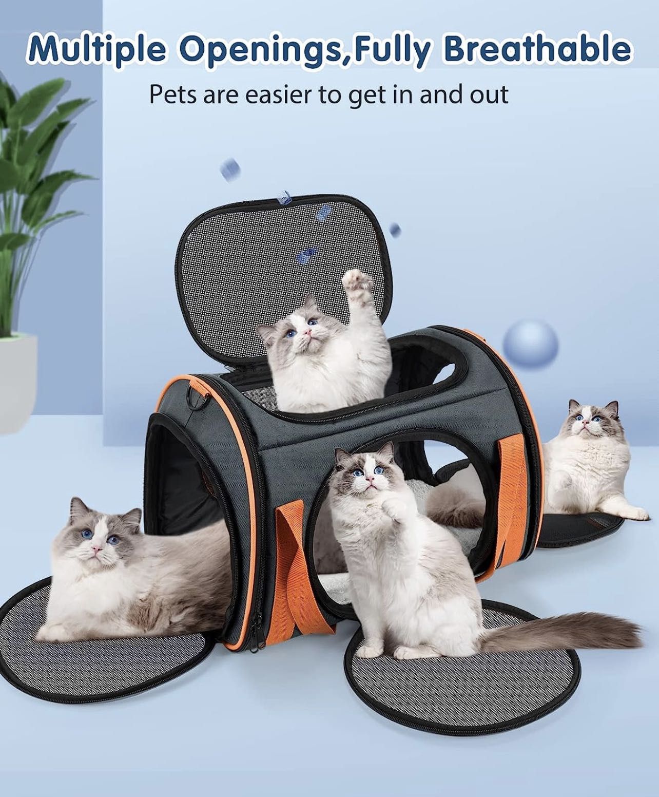 Pet Carrier Airline Approved, Cat Carrier for Cats Dogs with 5 Mesh