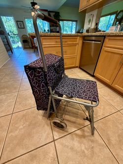 Trolley Dolly / Cart With Collapseable Seat
