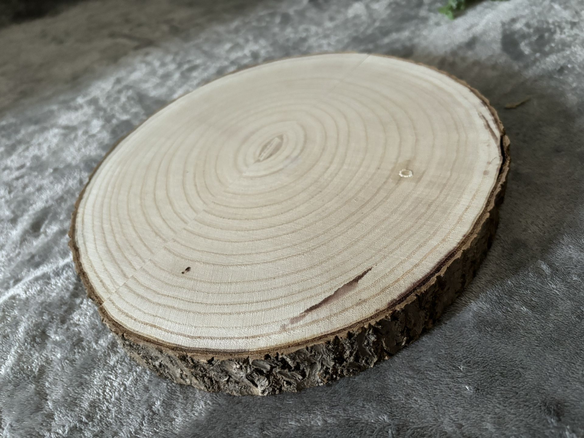 10 Wood Slices