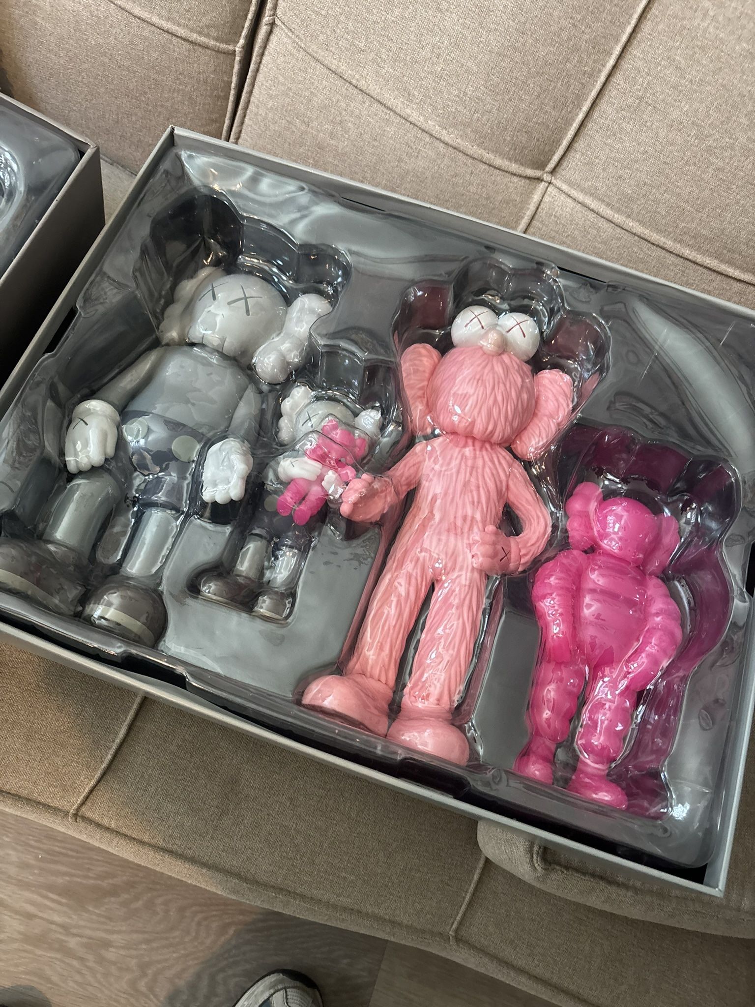 Kaws Family