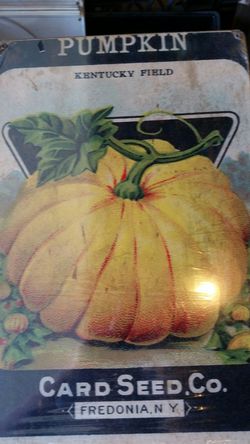 Pumpkin seeds heavy metal sign