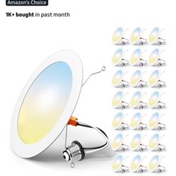LED Recessed Disk Downlight 5/6 It’s 24 Pack $90