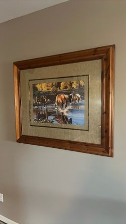 Picture Arizona. Horses In Water