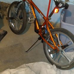 20 Inch Bike Moogose