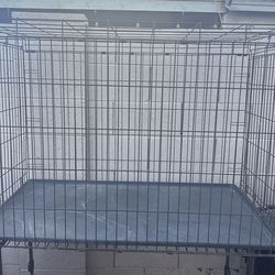 Large dog kennel