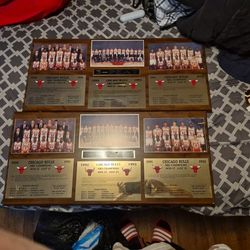 Bull NBA Chapion  Plaque