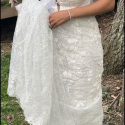 Wedding Dress - David's Bridal 