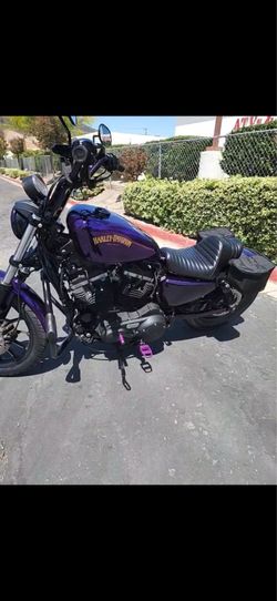 Sportster 883 Harley Davidson