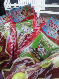 Christmas Dog stocking