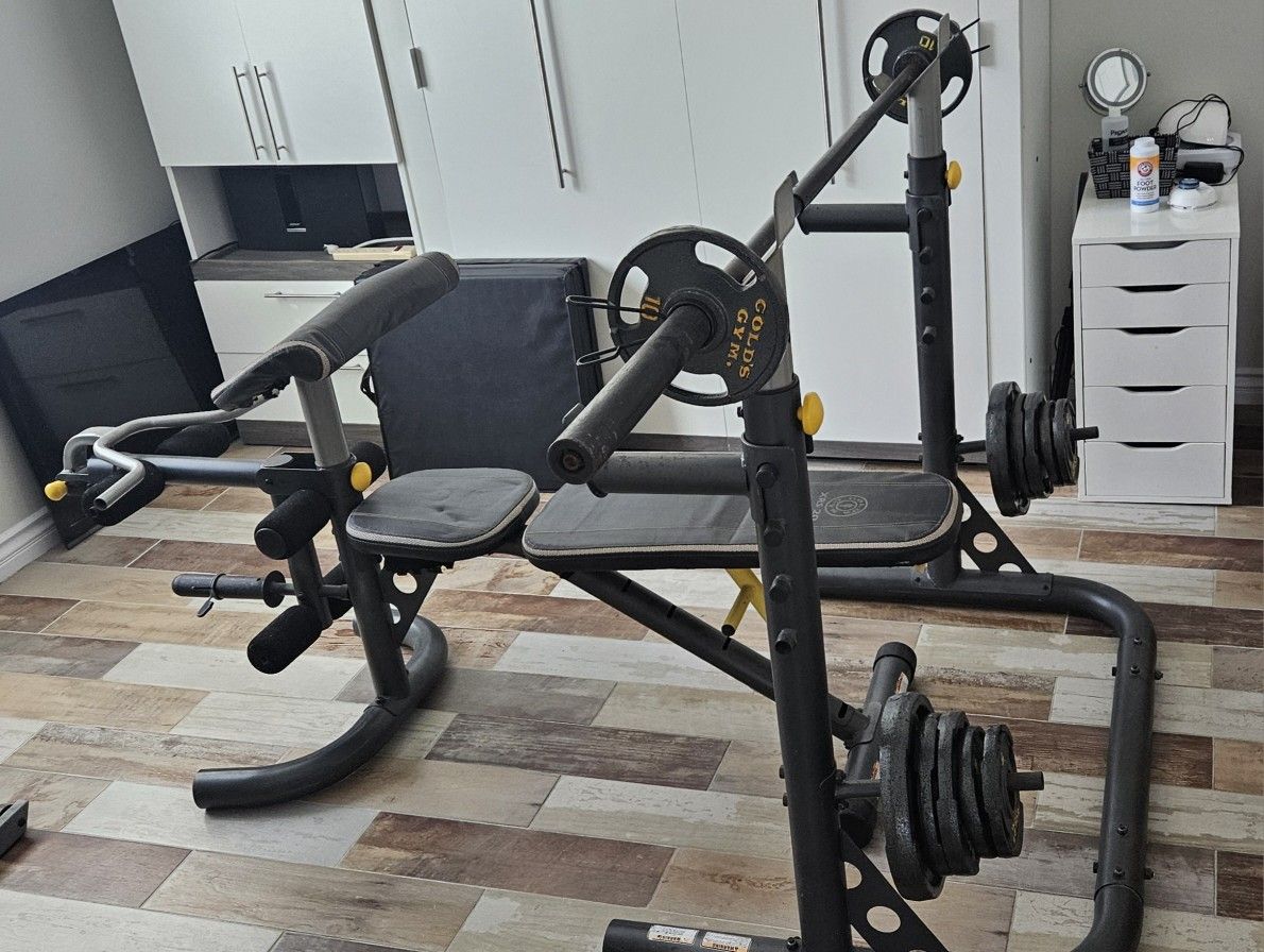 Bench, Weights and Bar