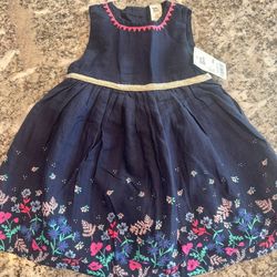 Baby Girl Dress Size 18 Months