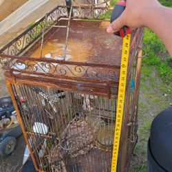 Bird Cage 