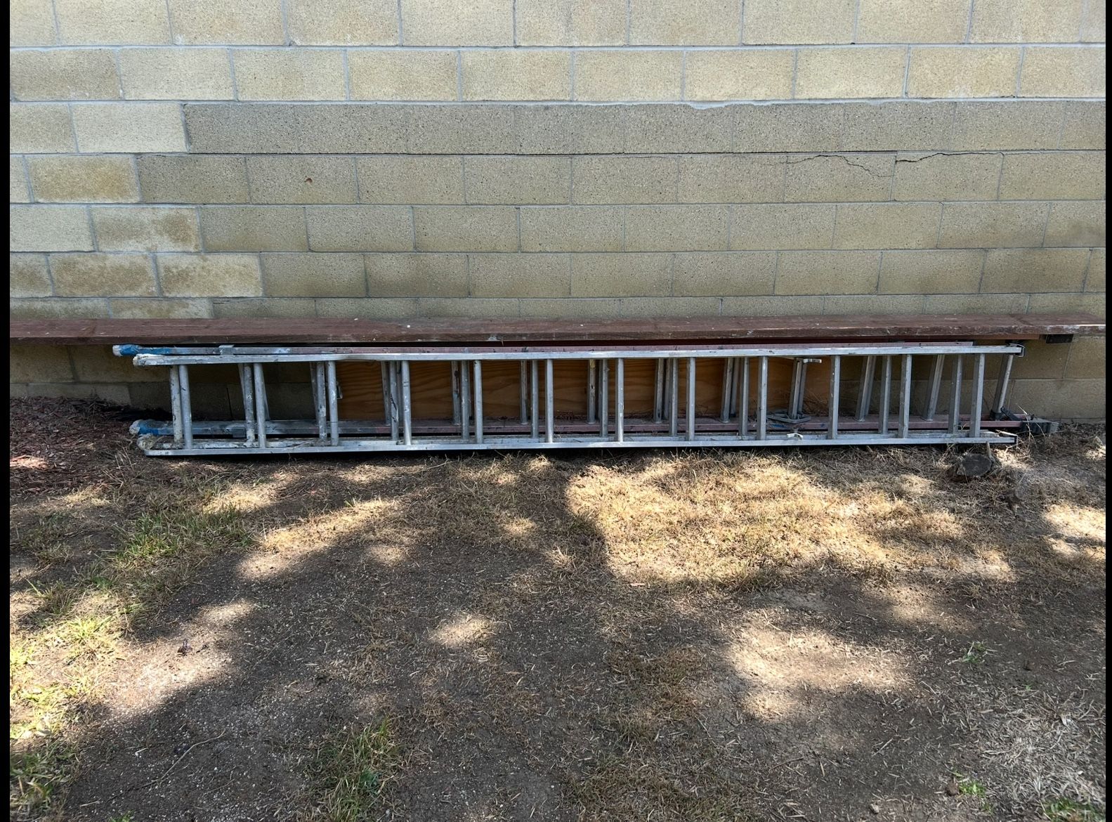 Ladders Free