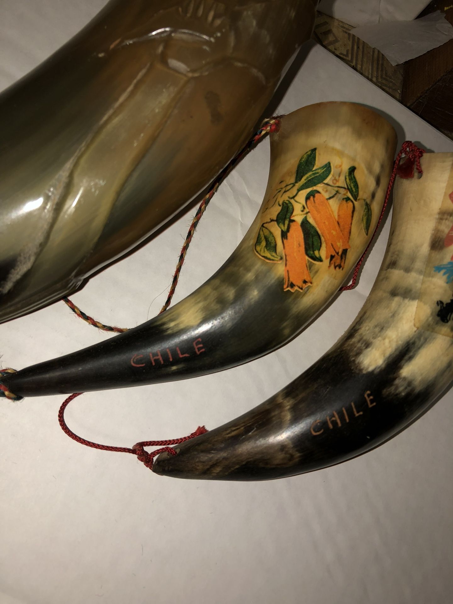 Decorative Bull Horn