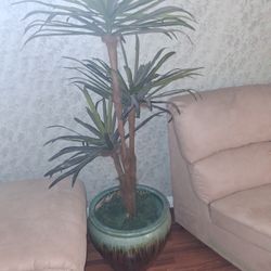 Artificial Plant & Vase