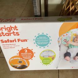 Bright Starts Baby Bouncer