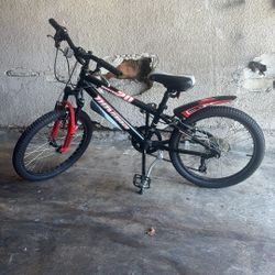 20 in. Bike