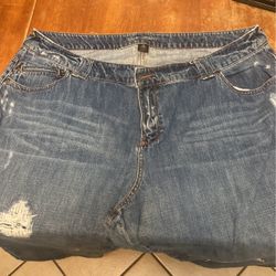 Lane Bryant Jean Size 26