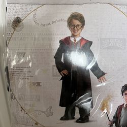 Harry Potter Halloween Costume 