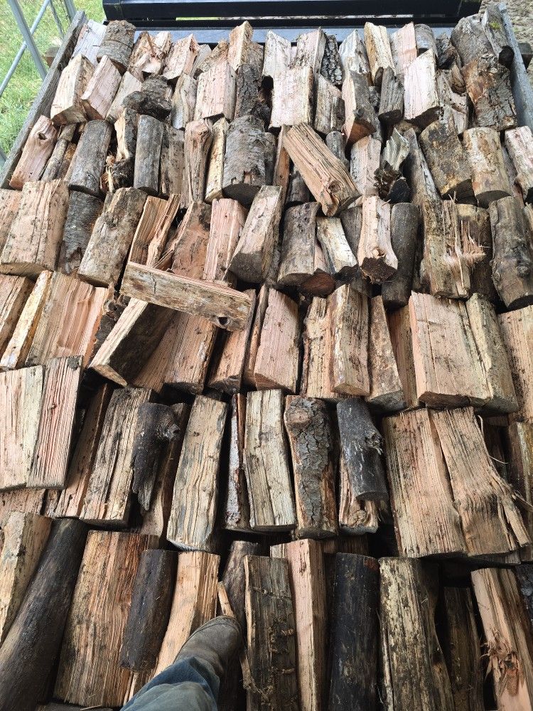 Dry Fir Firewood