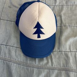 Special Edition Dipper Gravity Falls Hay