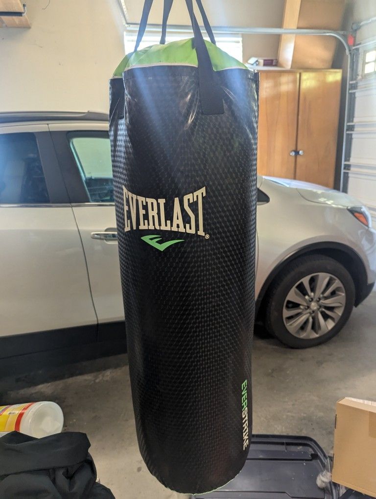 Everlast Punching Bag