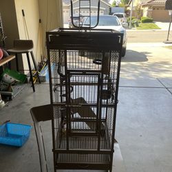 Bird Cage
