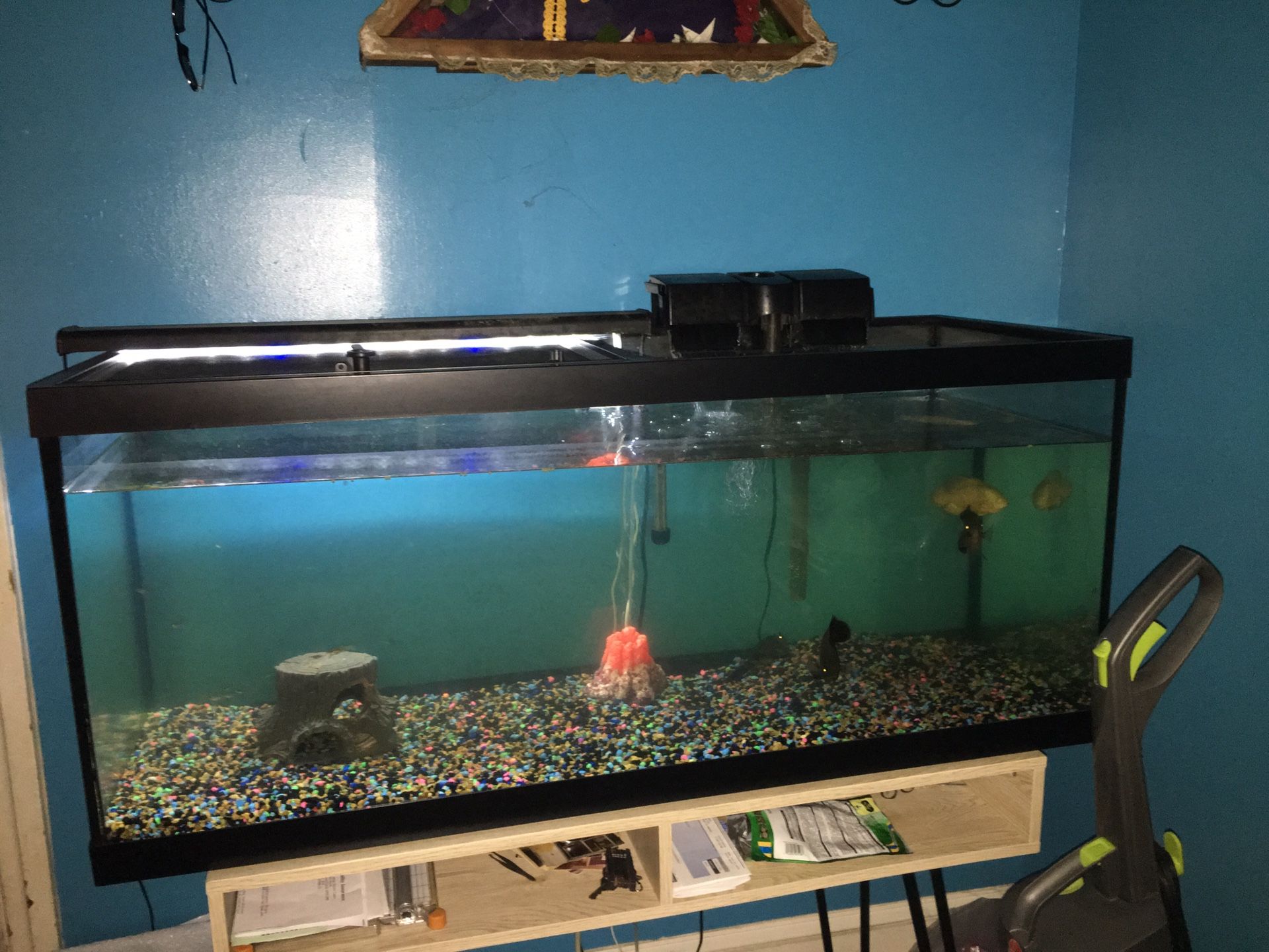 125 gallon tank with fish