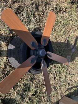 Fan