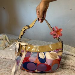Colorful Coach Bag