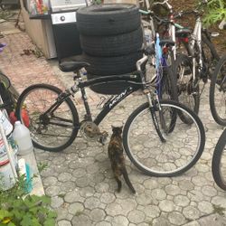 Motiv Performance Series Bike