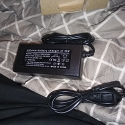 Electric Bike Charger 