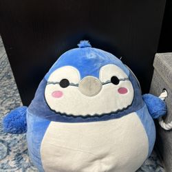 Babs squishmallow