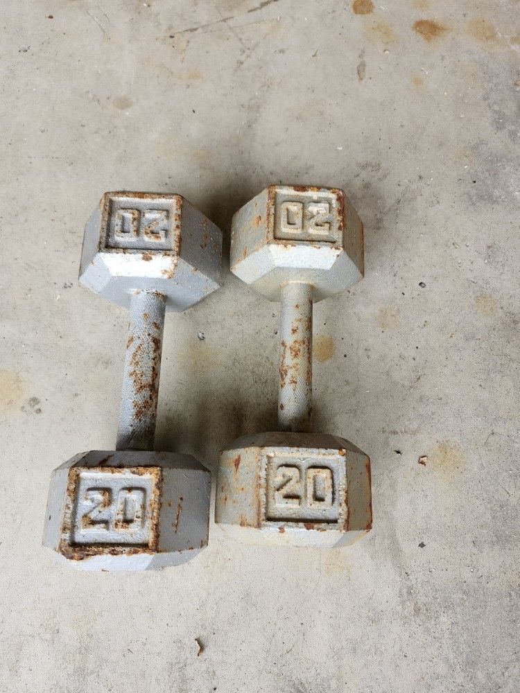 20 Lbs Dumbbells