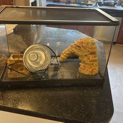reptile tank