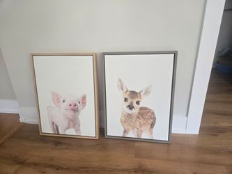 2 framed pictures